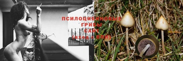 молекула духа Балабаново