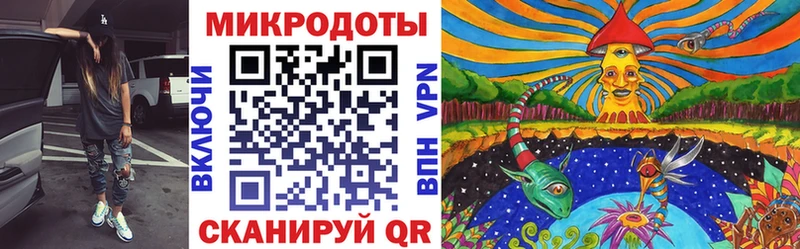 Галлюциногенные грибы Psilocybine cubensis  Купить где  Волхов 